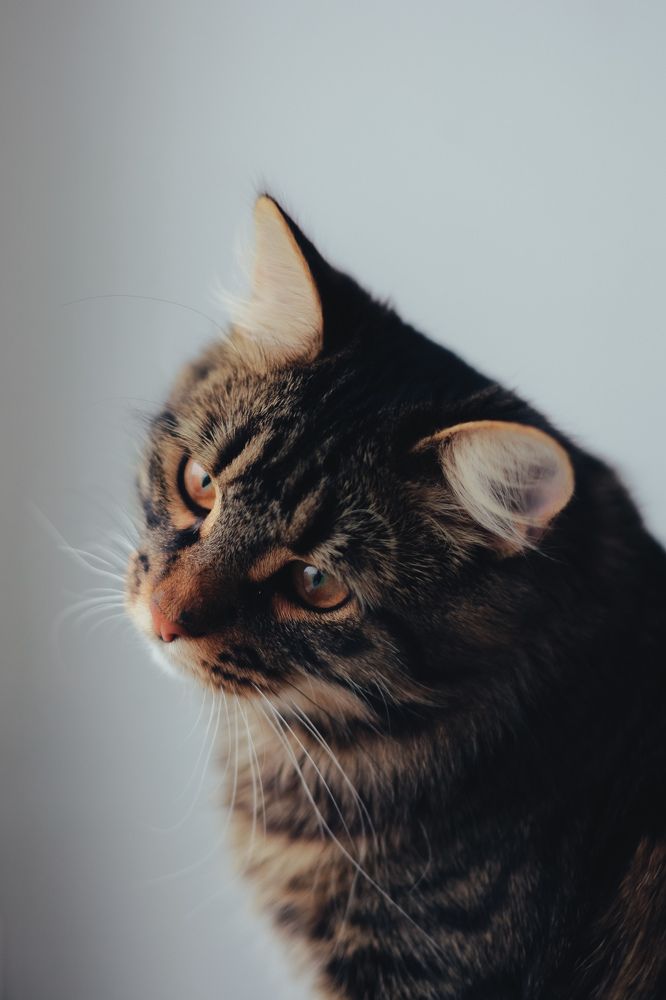 Photograph by Ольга Крукле