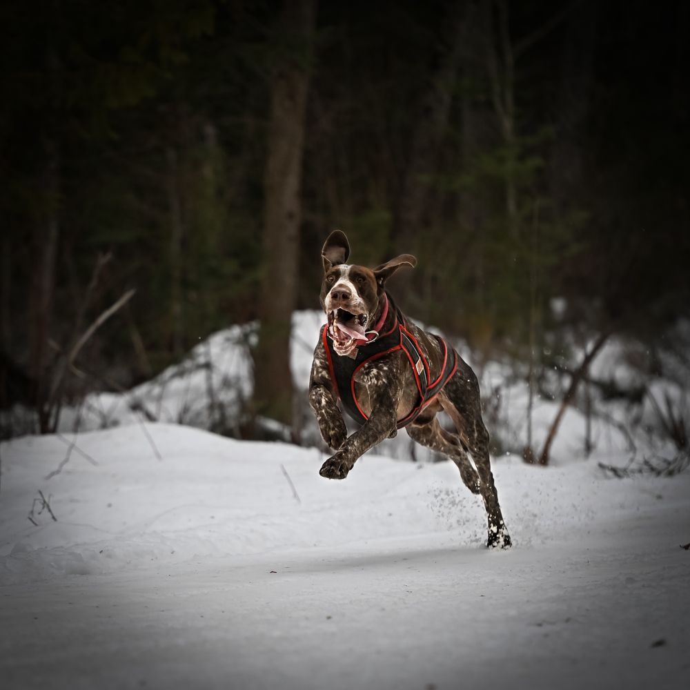 Photograph by yuanwei zuo