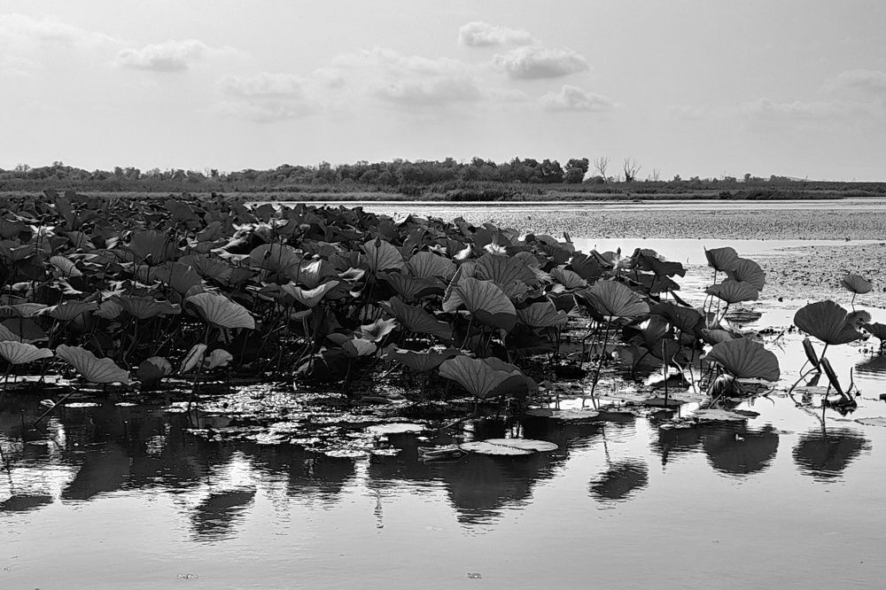 Photograph by Ольга Березовская