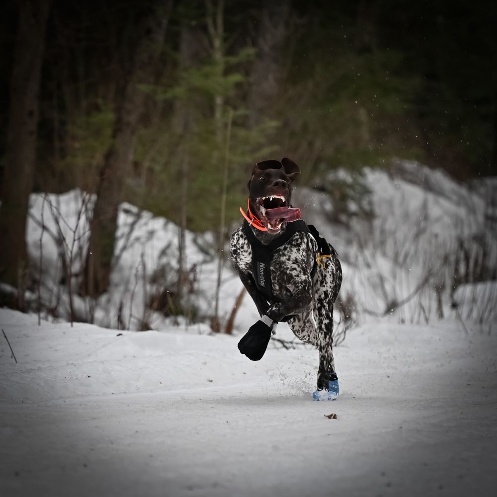 Photograph by yuanwei zuo