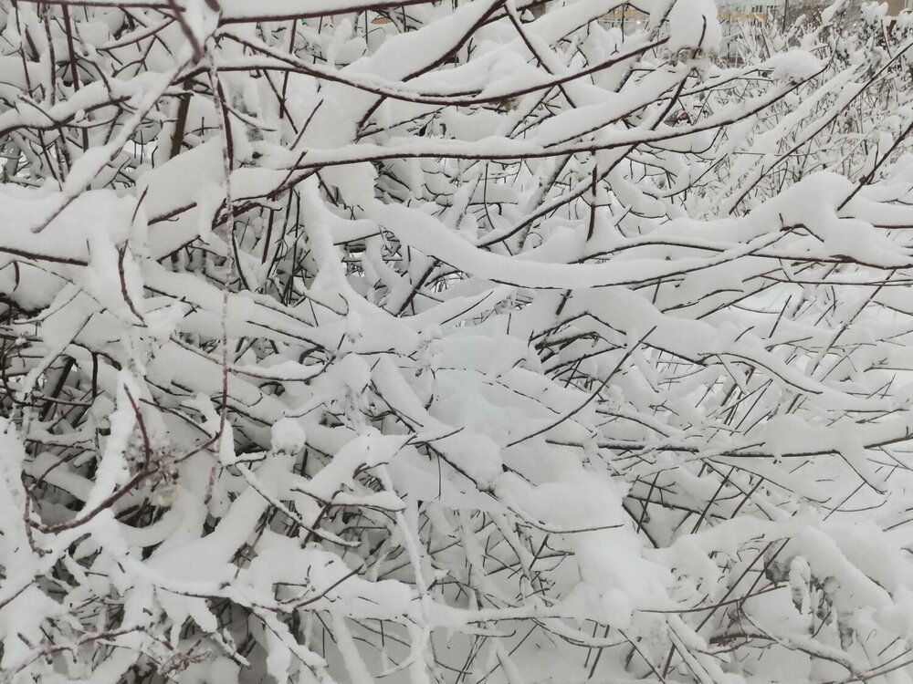 Photograph by Мария Клабукова