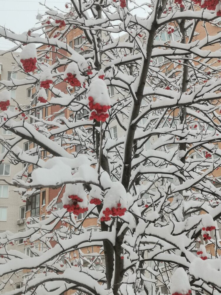 Photograph by Мария Клабукова