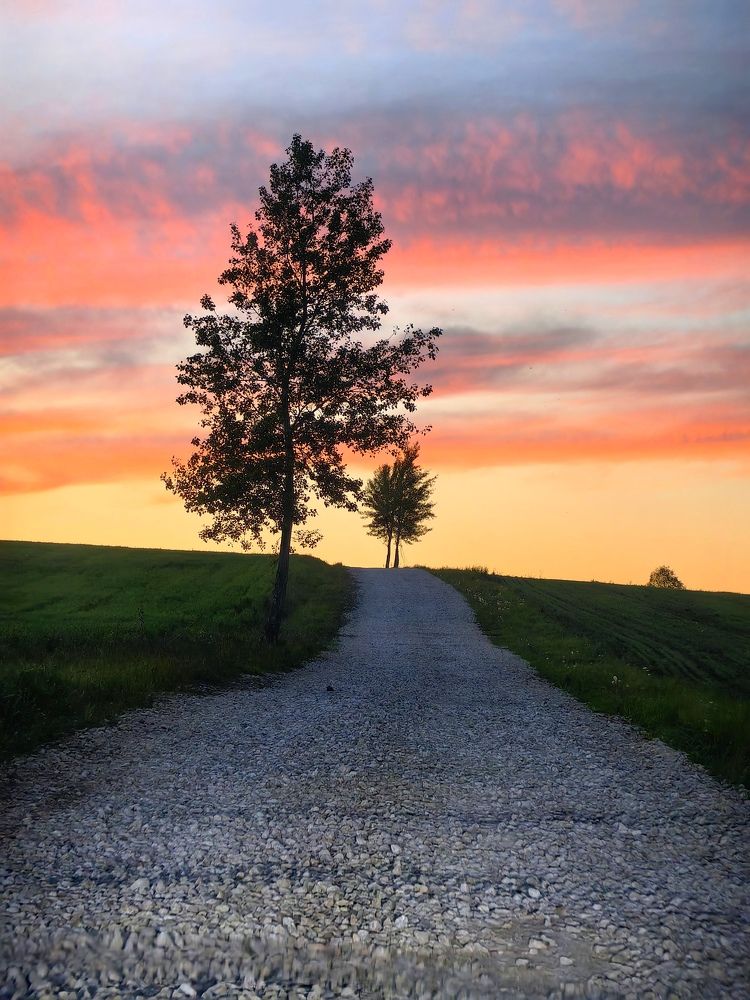 Photograph by Гузель Вильданова