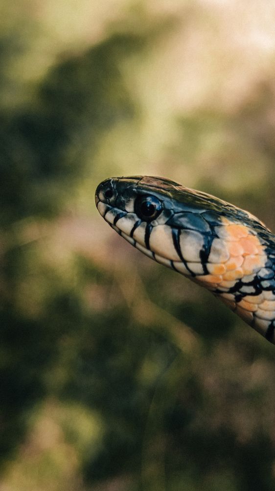 Photograph by Leanid Kulpo