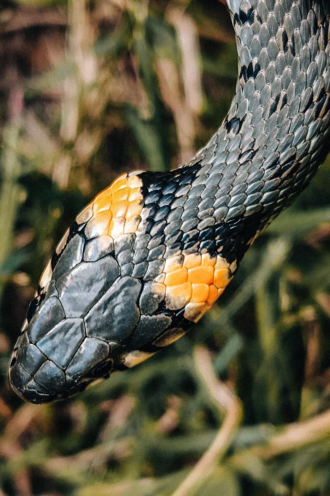 Photograph by Leanid Kulpo