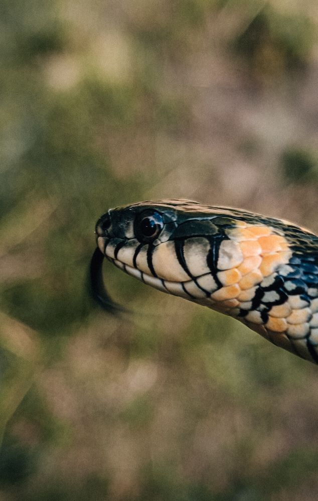 Photograph by Leanid Kulpo