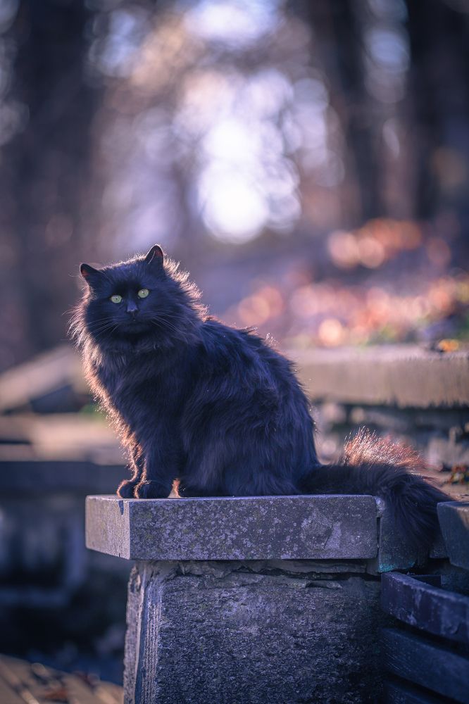 Photograph by Игорь Толкачев