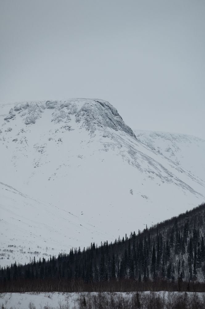 Фотография автора Перевозчиков Андрей