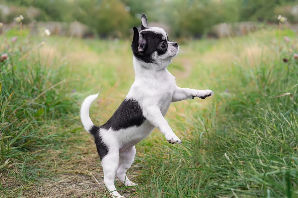 Photograph by Валентина Найдюк