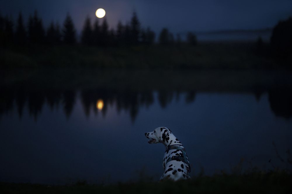 Photograph by Анастасия Белаш