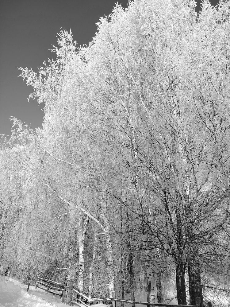 Photograph by Юрий Гордеев