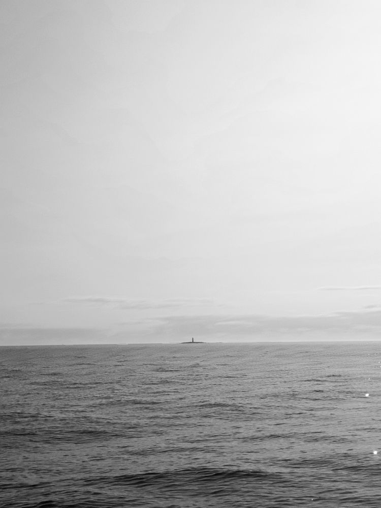 Photograph by Николай Наумов