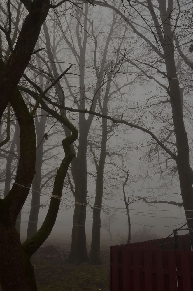 Фотография автора Анастасия