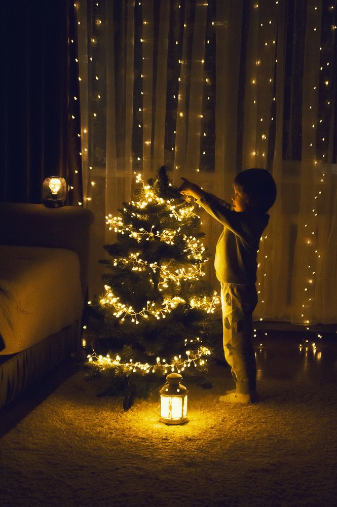 Фотография автора Елена Рогатнева