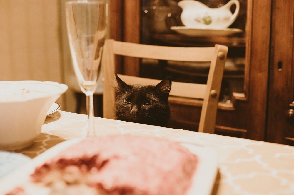 Фотография автора Дарина Фельдман