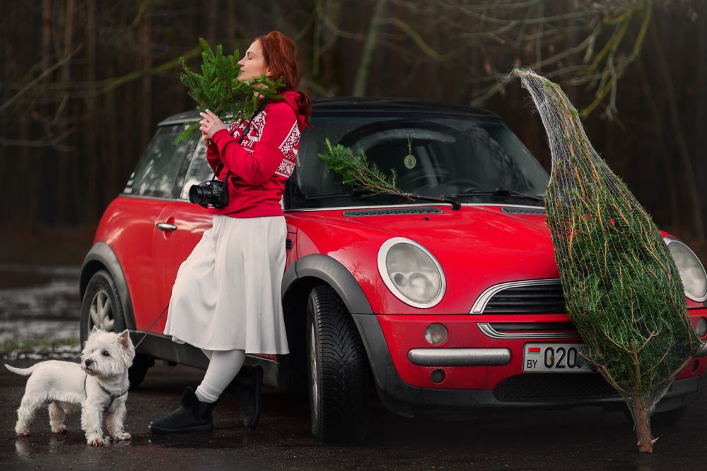 Фотография автора Наталья Почтенная