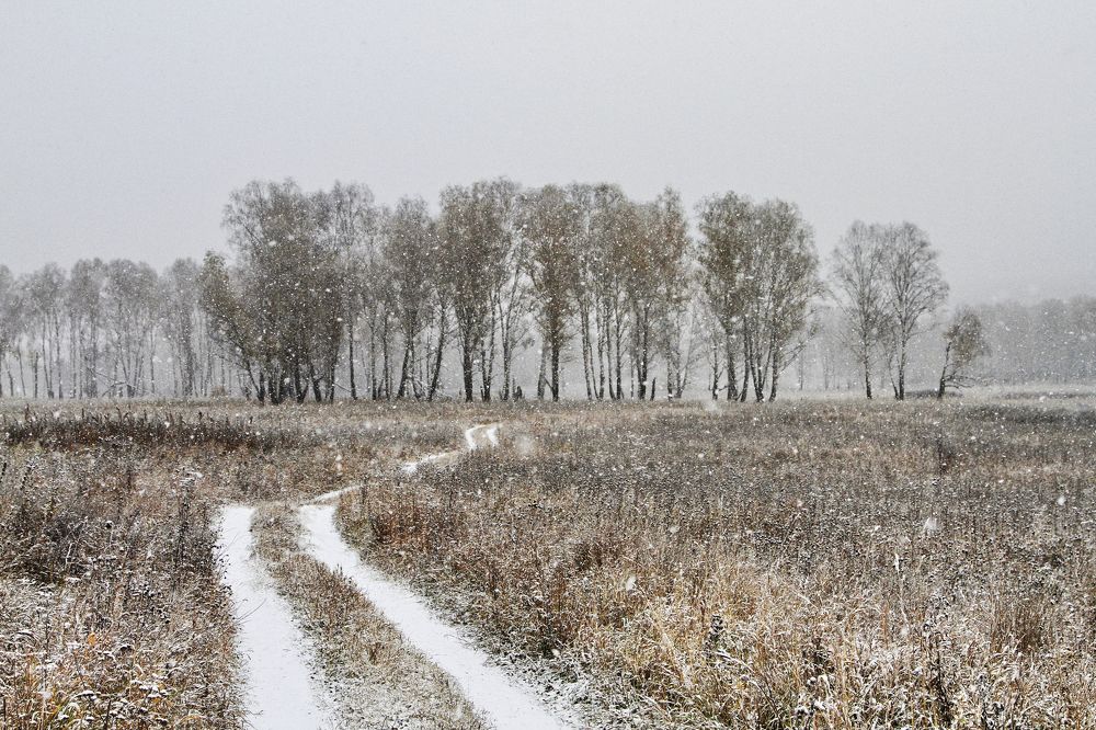 Photograph by Гагик Мхитарян