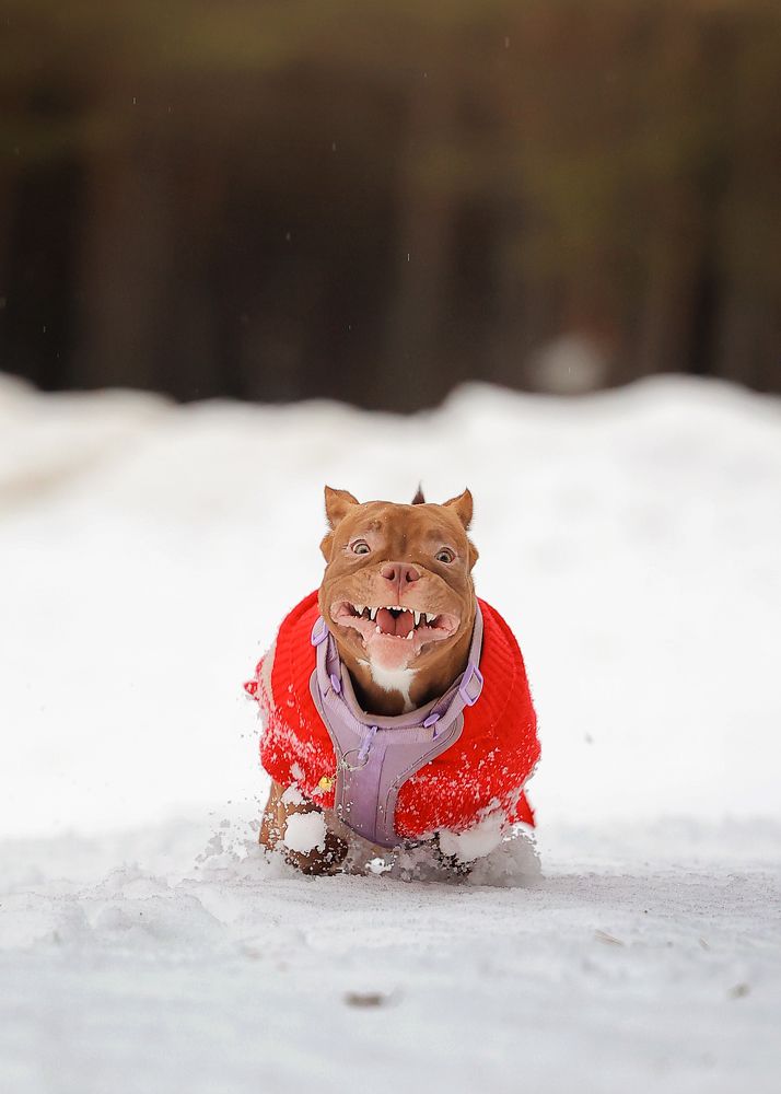 Фотография автора Регина Гущина