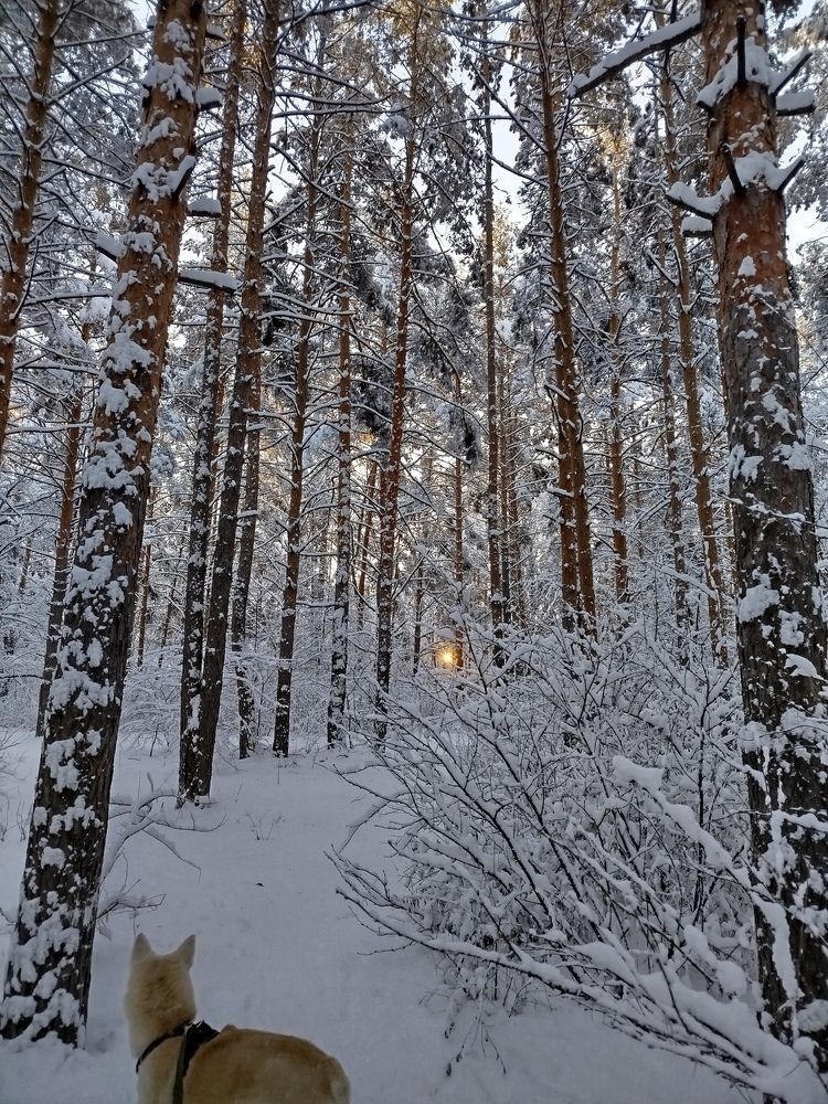 Photograph by Olga Александрова