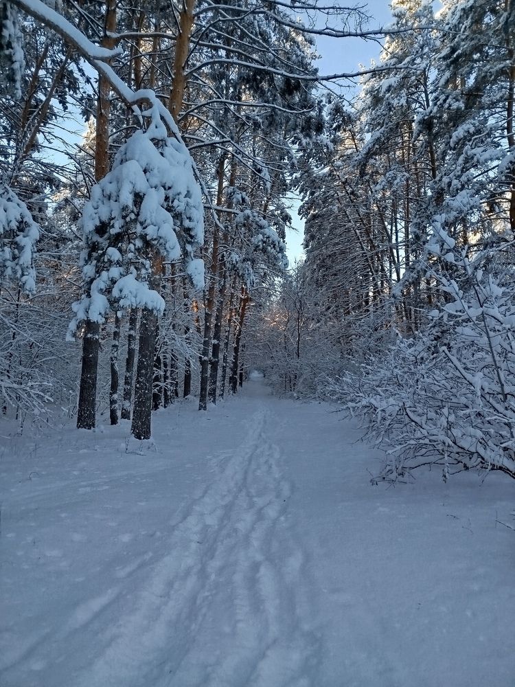 Photograph by Olga Александрова
