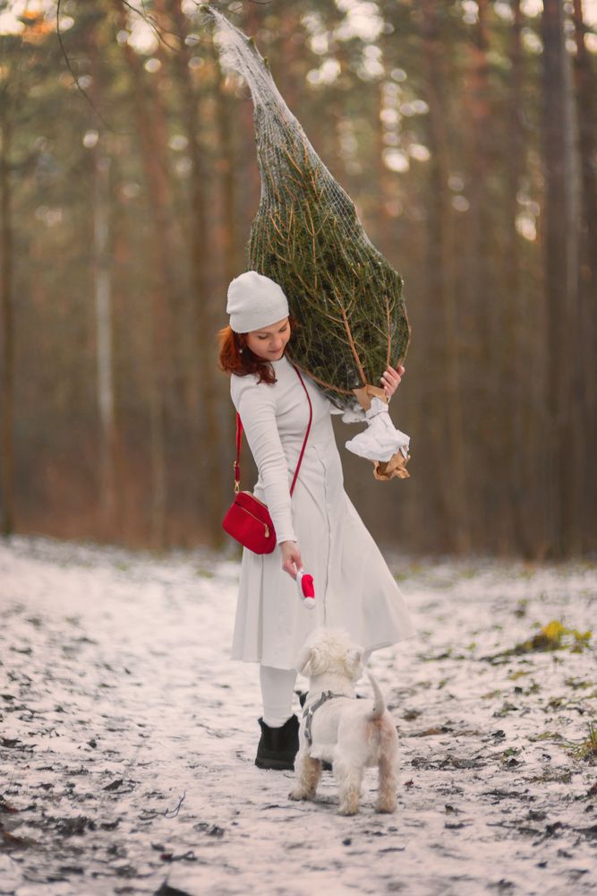 Фотография автора Наталья Почтенная