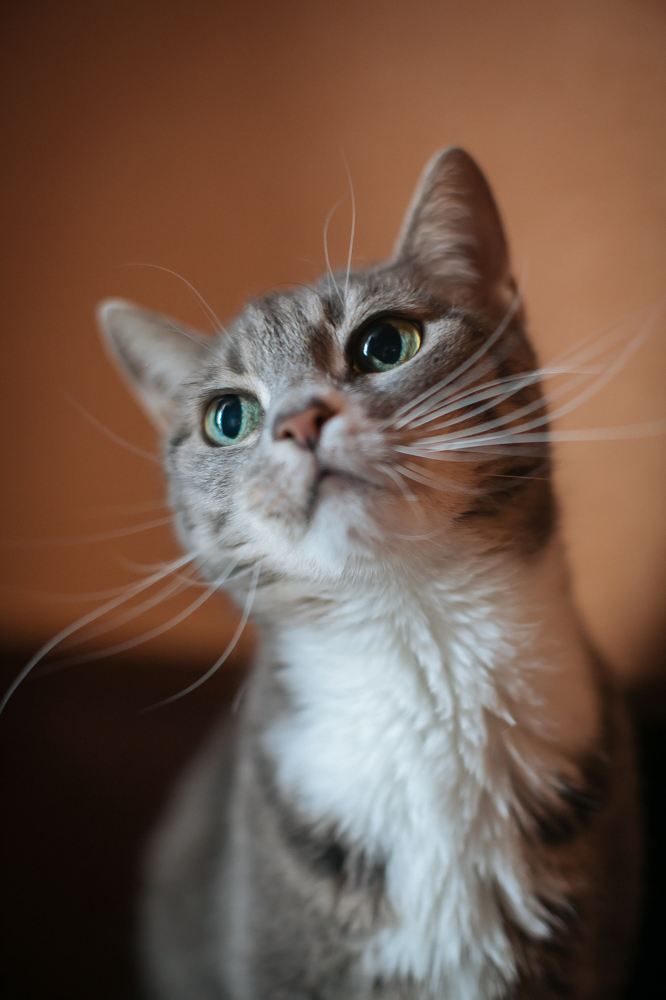 Photograph by Очева Наталья Александровна