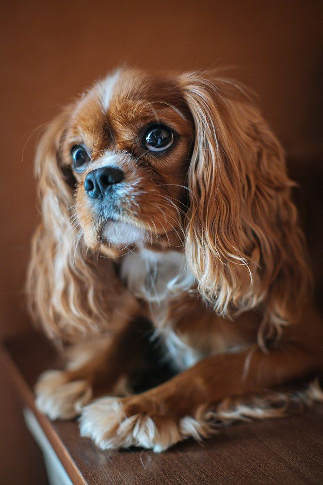 Photograph by Очева Наталья Александровна