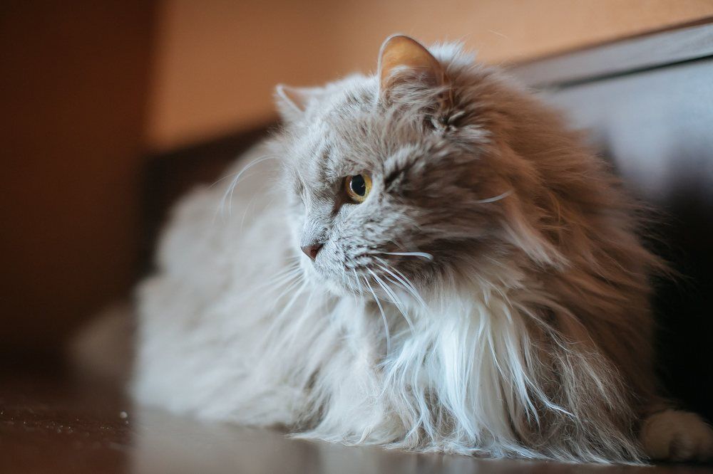 Photograph by Очева Наталья Александровна