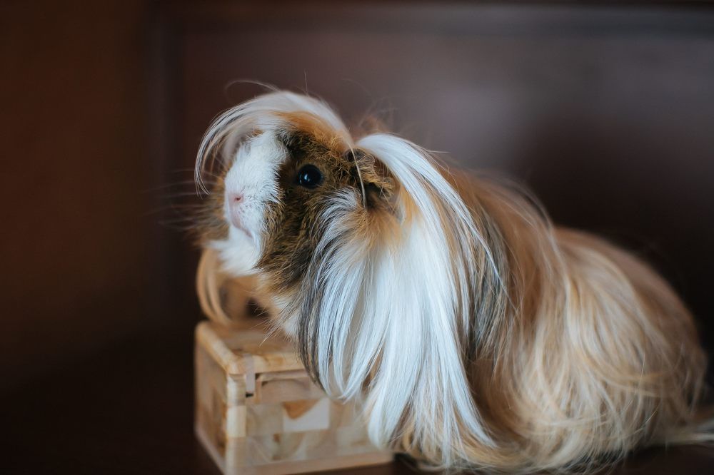 Photograph by Очева Наталья Александровна