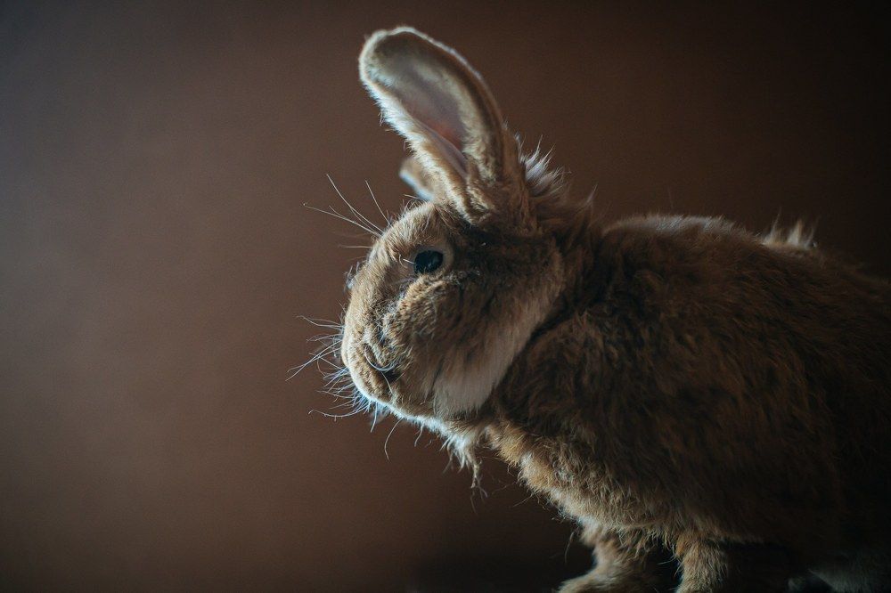 Photograph by Очева Наталья Александровна