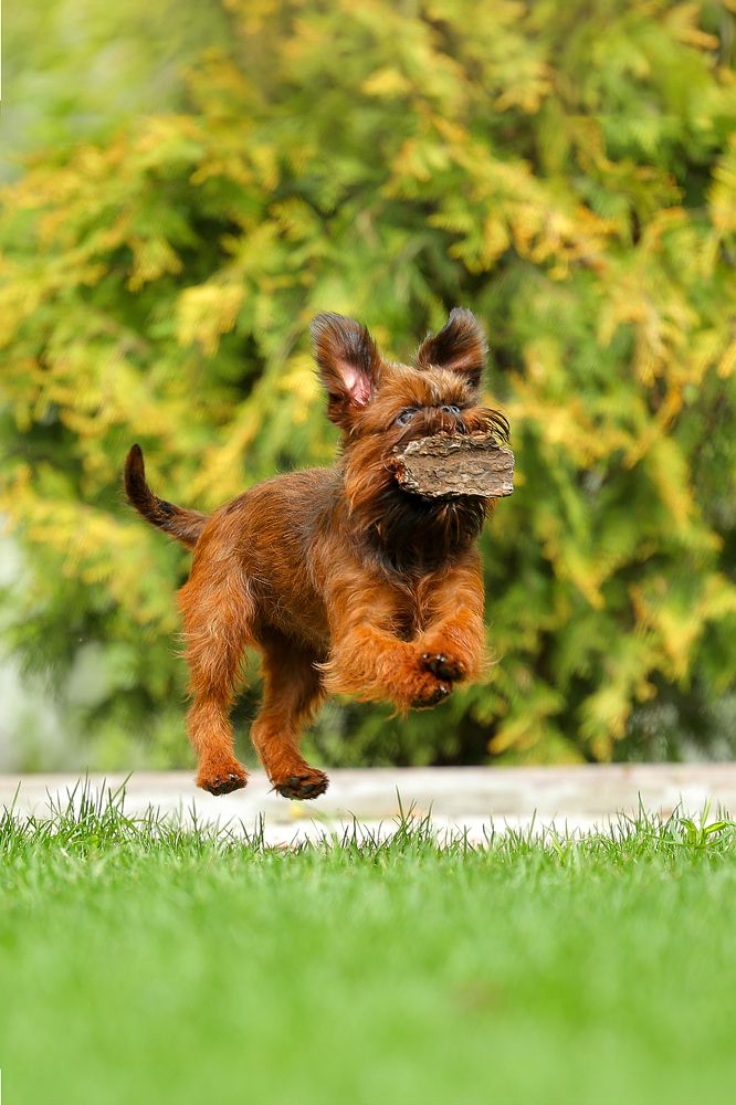 Фотография автора Регина Гущина