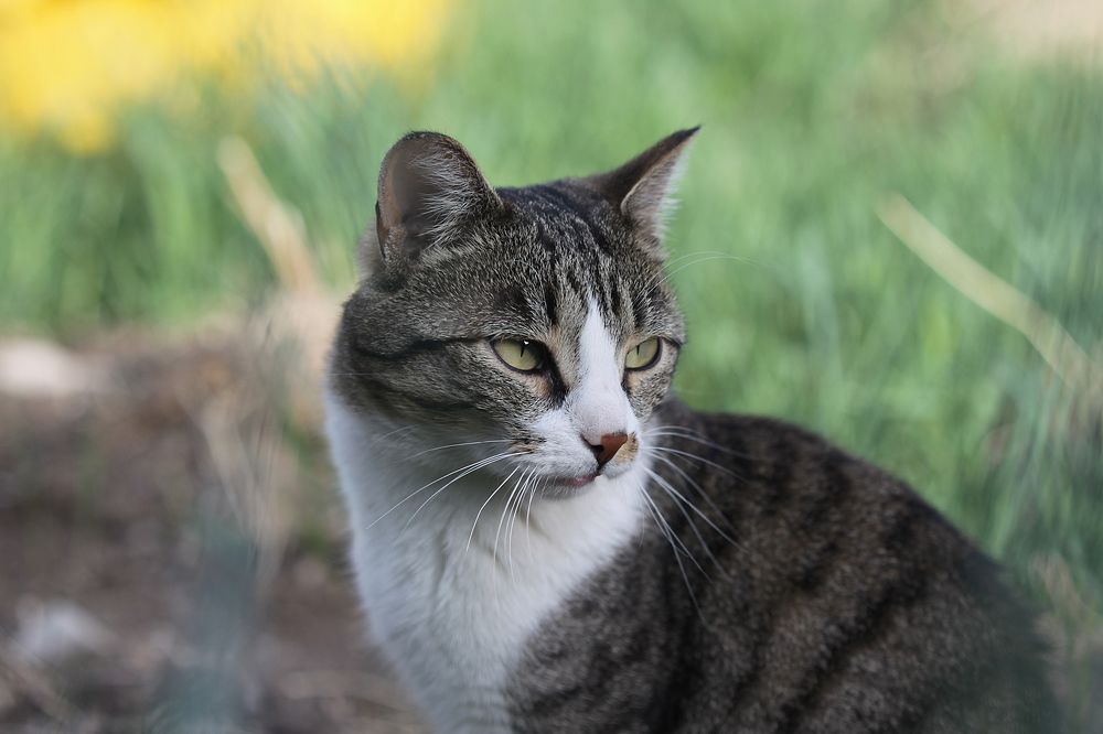 Photograph by Aleksey Maevskiy