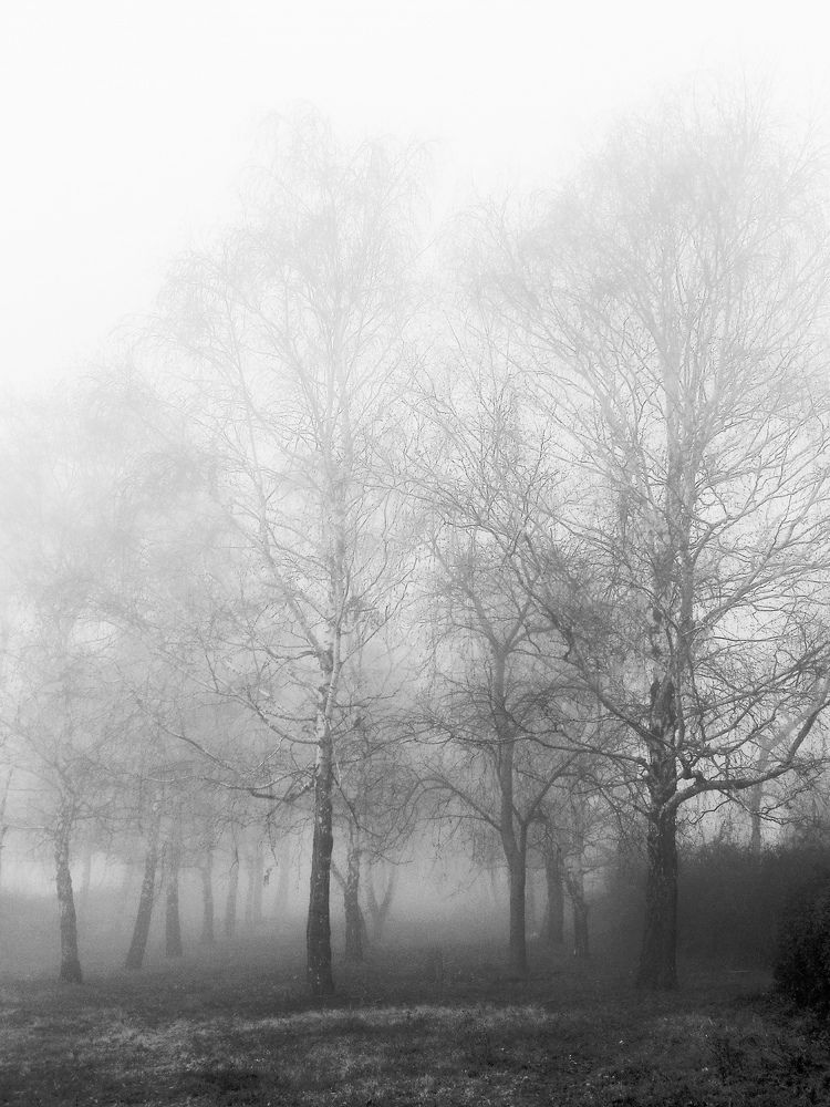 Фотография автора JELENA VASIC