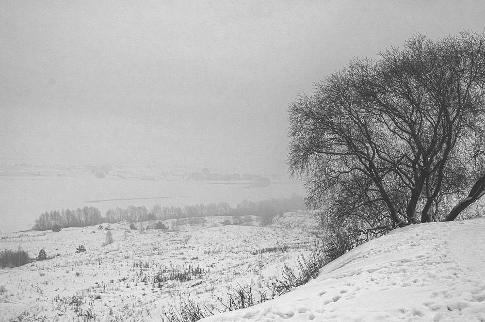 Photograph by Vladimir  Komarov