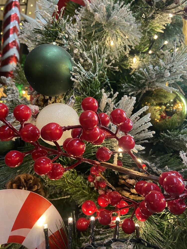 Photograph by Наталья Онофренчук