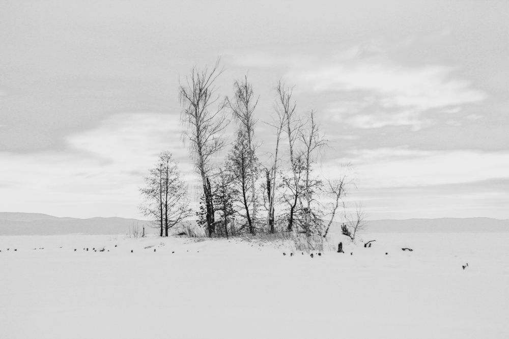 Photograph by Любовь Замятина