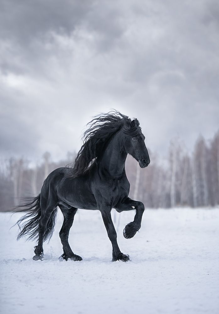 Photograph by Елена Алешечкина