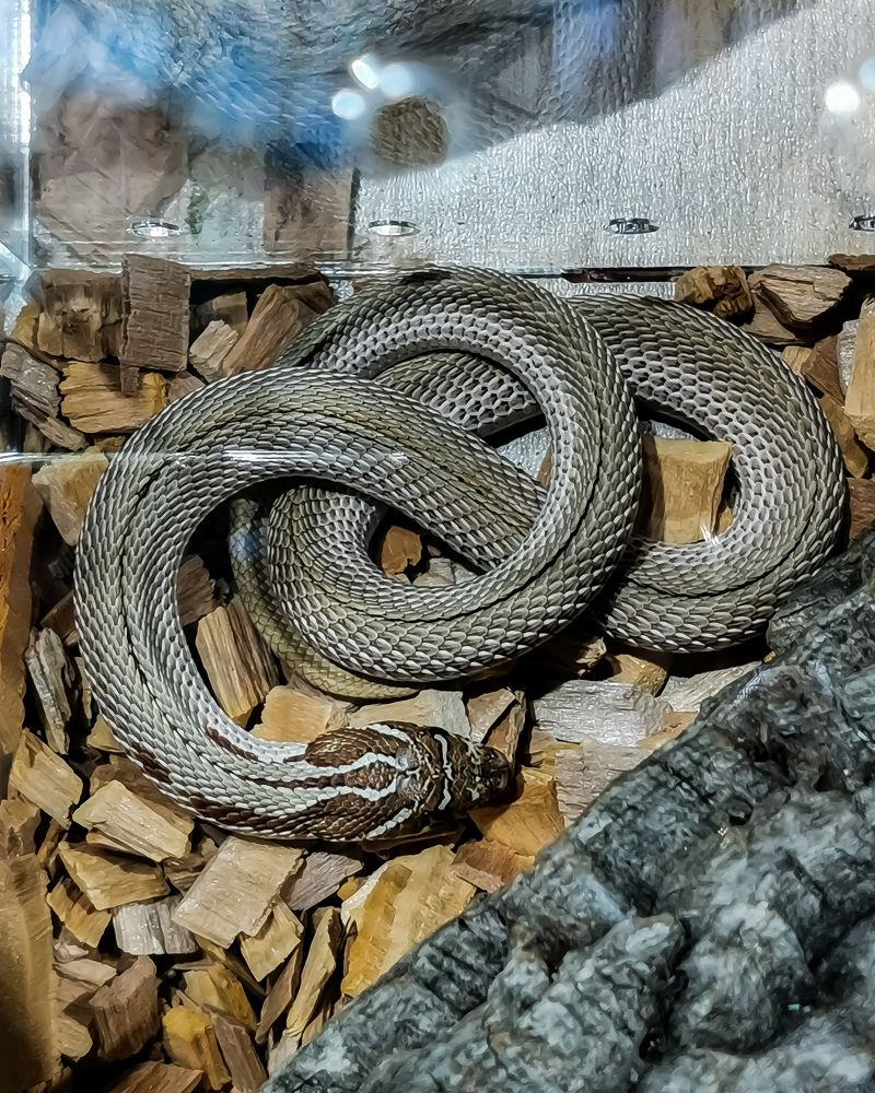 Photograph by Переверзева Татьяна