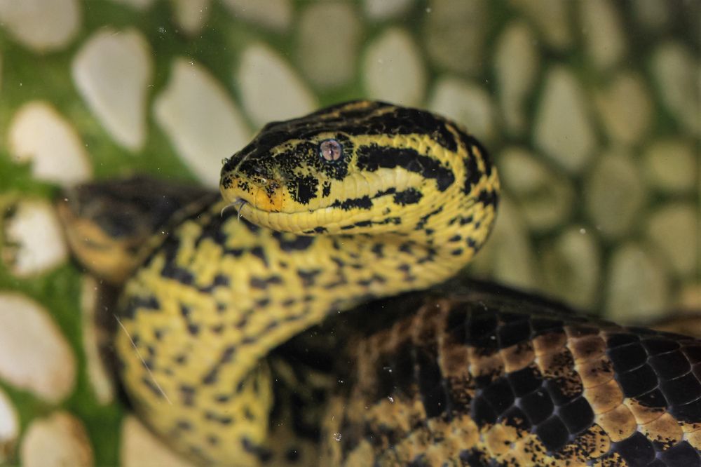 Photograph by Переверзева Татьяна