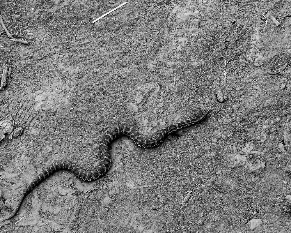 Photograph by Переверзева Татьяна