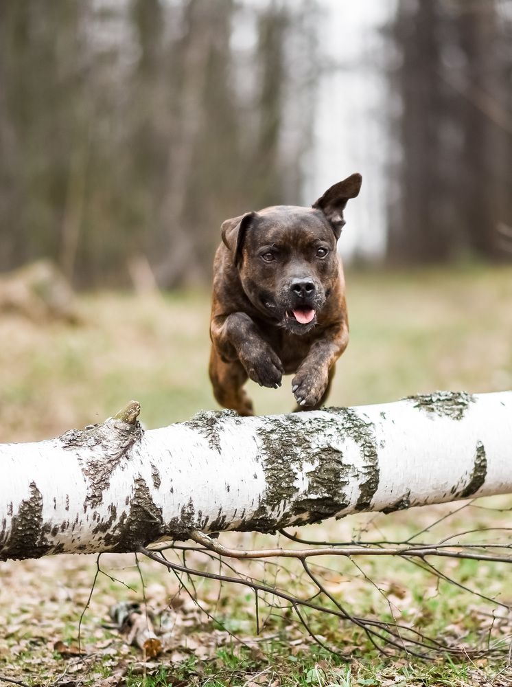 Photograph by Марина Суздаль