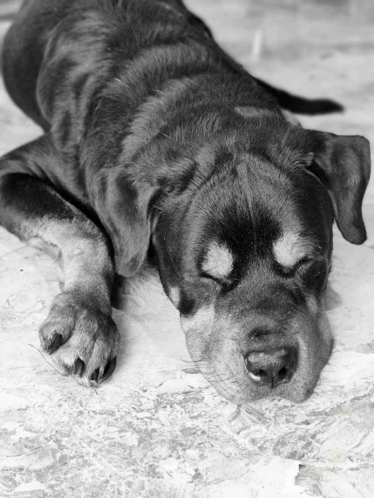 Photo #11589294