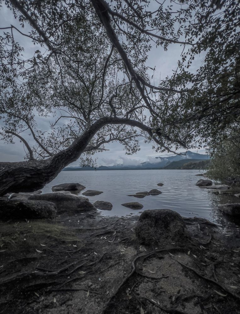 Photograph by Матвей Краузе