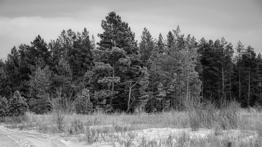 Photograph by Олег Белан