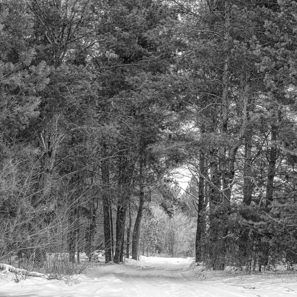 Photograph by Олег Белан