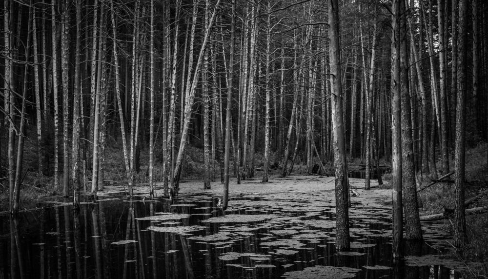 Photograph by Света Назарова