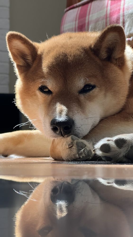 Photograph by Татьяна Петросьян