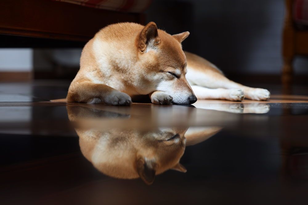 Photograph by Татьяна Петросьян