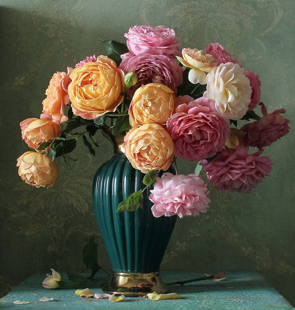 Как нежно розы расцвели