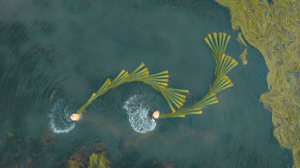 Фотография автора Quan Hung